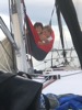 resIMG_20190612_141541_5615.JPG
